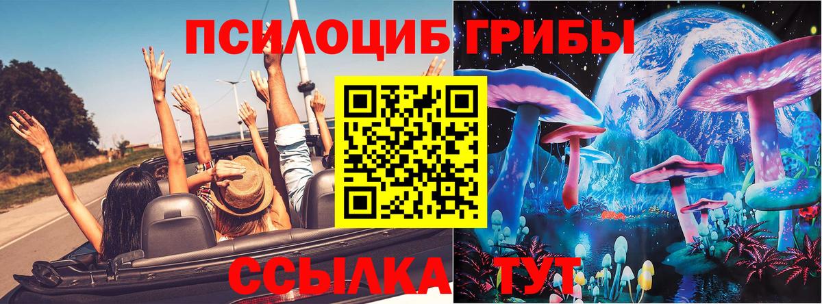 Галлюциногенные грибы Psilocybine cubensis Новоалександровск